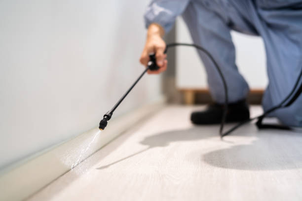 Licensed Mosquito Control service in Navy Yard City, WA - Nex Pest Control