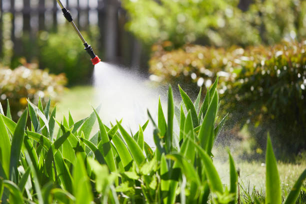 24/7 Emergency Mosquito Control experts in Navy Yard City, WA