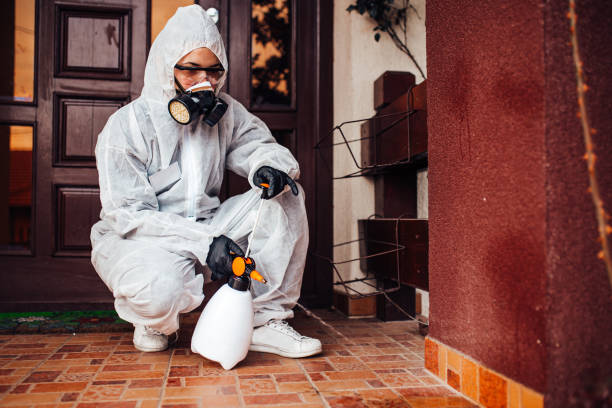 Reliable Mosquito Control contractor in Navy Yard City, WA by Nex Pest Control