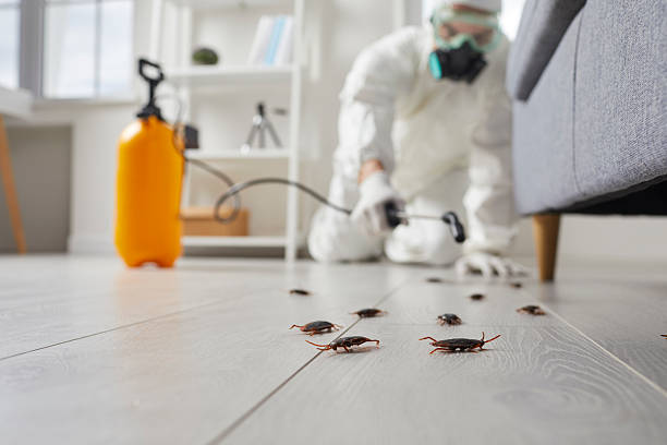Trusted Mosquito Control service in Navy Yard City, WA - Nex Pest Control