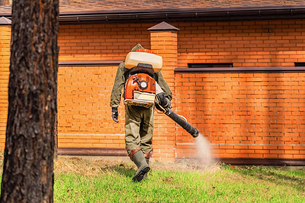 Trusted Cockroach Control service in Navy Yard City, WA - Nex Pest Control